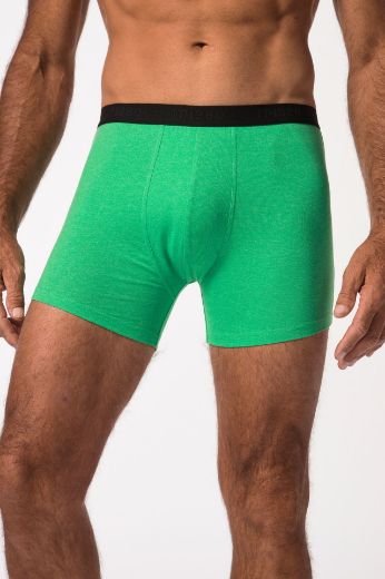 Moda za polnejše Gaće bokserice 2 komada plus velikost, xxl, Ulla Popken in Johann Popken (JP1880)
