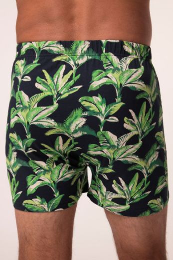 Moda za polnejše Bokserice 2 komada plus velikost, xxl, Ulla Popken in Johann Popken (JP1880)