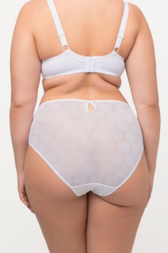 Moda za polnejše Gaćice midi plus velikost, xxl, Ulla Popken in Johann Popken (JP1880)