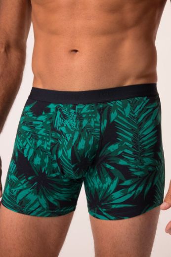 Moda za polnejše Bokserice 2 komada plus velikost, xxl, Ulla Popken in Johann Popken (JP1880)