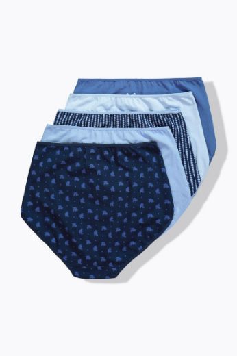 Moda za polnejše Gaćice maxi 5 komada plus velikost, xxl, Ulla Popken in Johann Popken (JP1880)