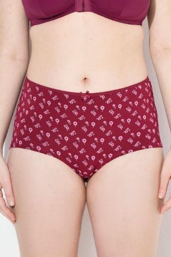 Moda za polnejše Gaćice hipster 3 komada plus velikost, xxl, Ulla Popken in Johann Popken (JP1880)