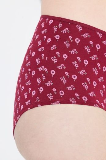 Moda za polnejše Gaćice hipster 3 komada plus velikost, xxl, Ulla Popken in Johann Popken (JP1880)