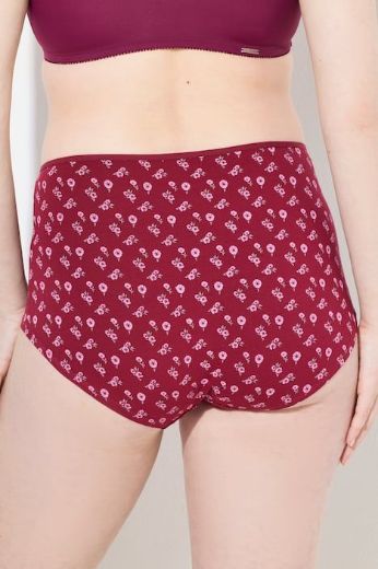 Moda za polnejše Gaćice hipster 3 komada plus velikost, xxl, Ulla Popken in Johann Popken (JP1880)