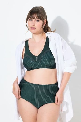 Moda za polnejše Gaćice 2 komada mikrofibra plus velikost, xxl, Ulla Popken in Johann Popken (JP1880)