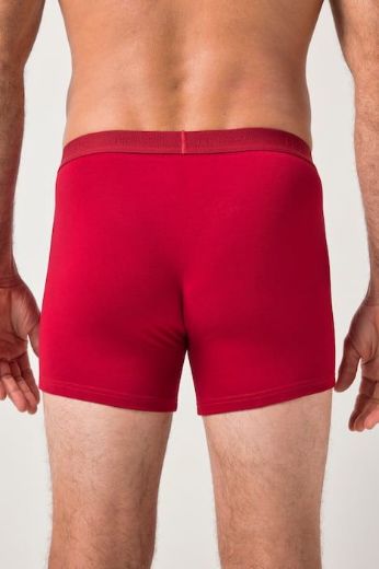 Moda za polnejše Bokserice 2 komada plus velikost, xxl, Ulla Popken in Johann Popken (JP1880)