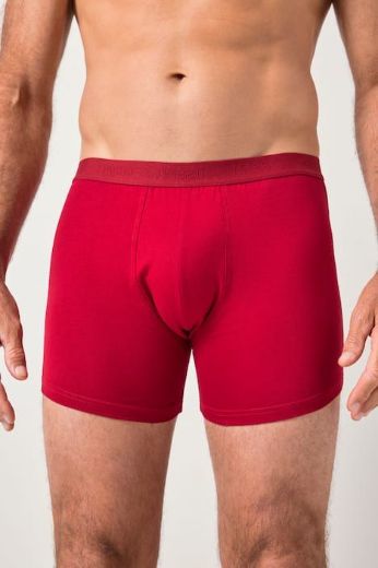 Moda za polnejše Bokserice 2 komada plus velikost, xxl, Ulla Popken in Johann Popken (JP1880)