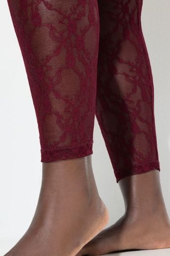 Moda za polnejše Tajice od prozirne čipke plus velikost, xxl, Ulla Popken in Johann Popken (JP1880)