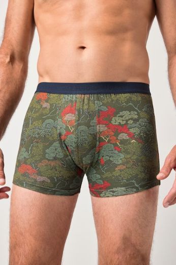 Moda za polnejše Bokserice 2 komada plus velikost, xxl, Ulla Popken in Johann Popken (JP1880)