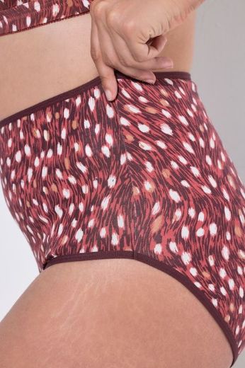 Moda za polnejše Gaćice maxi 5 komada plus velikost, xxl, Ulla Popken in Johann Popken (JP1880)